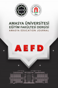 Amasya Education Journal