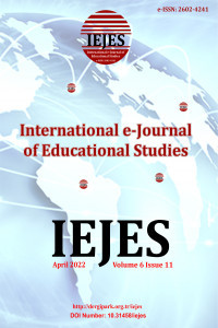 International e-Journal of Educational Studies