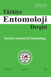 Turkish Journal of Entomology